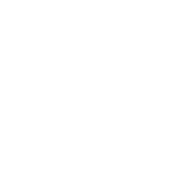 donkey Illustration of a donkey