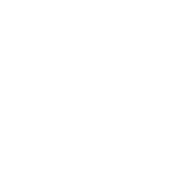 Illustration of a palm tree