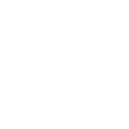 Illustration of a typical "espeto" from Malaga